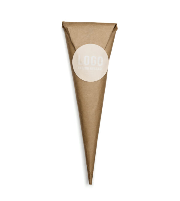 Cone